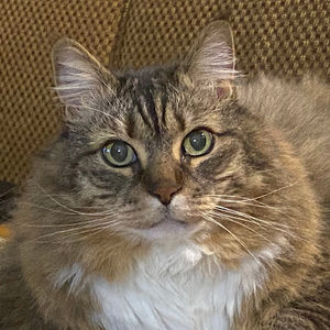 Meet your Posher, Teresa